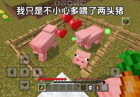我的世界猪有什么用[图2]