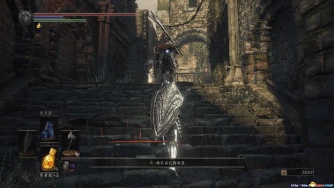 黑魂3黑骑士怎么刷[图2]