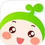 小豆苗