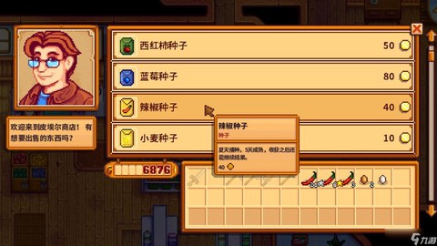 星露谷物语怎么买种子