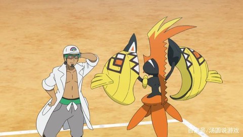 口袋妖怪日月岛屿扫描怎么用