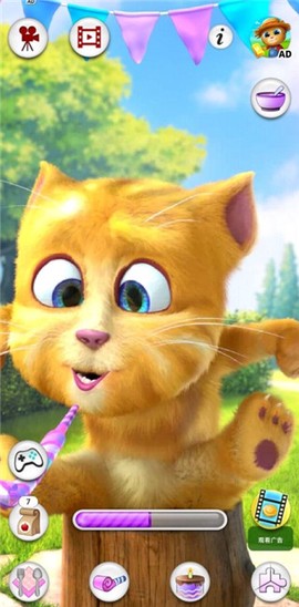 会说话的金杰猫[图4]