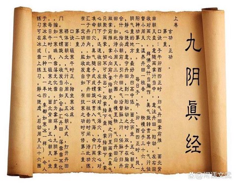 九阴真经什么是双脉[图1]