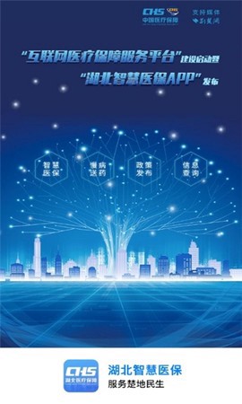 湖北智慧医保图1