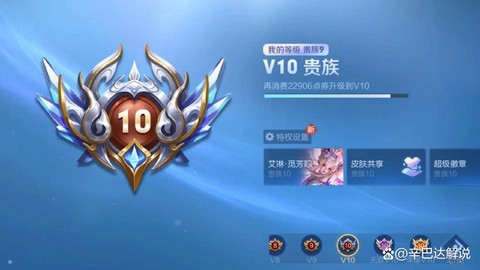 王者荣耀怎么隐藏贵族标志[图2]