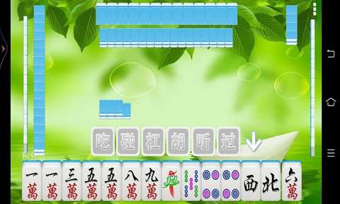 全番单机麻将图2