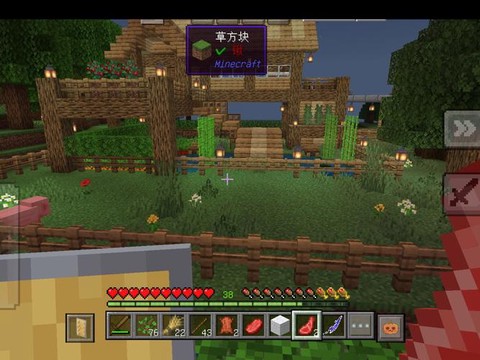 游戏我的世界怎么玩[图2]