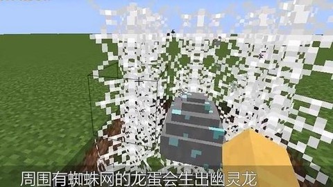 我的世界怎么捡龙蛋