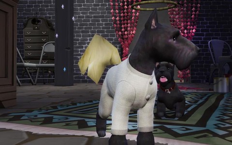 模拟人生4狗怕什么[图1]