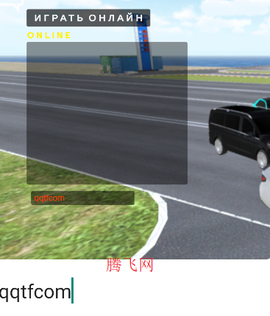 温加尔比驾驶模拟[图3]