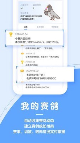 信鸽纵横图2