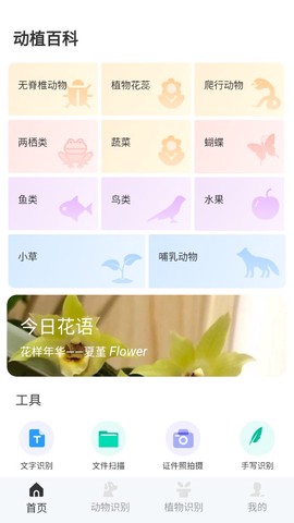动物百科[图1]
