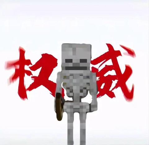 我的世界骷髅头怎么得