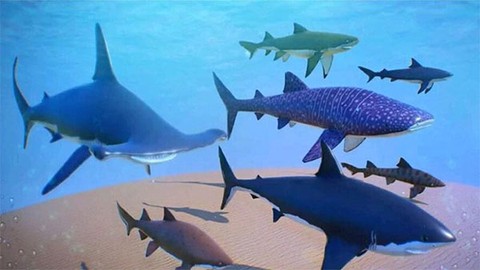 超级海底大猎杀图3