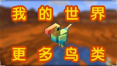 我的世界鹦鹉吃什么
