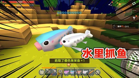 迷你世界怎么养呆呆鱼