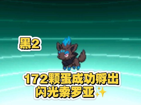 冒险岛2黑卵是什么