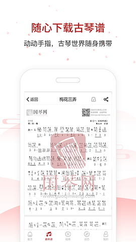 国琴网图3