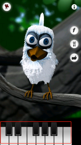 会说话的拉里鸟[图3]