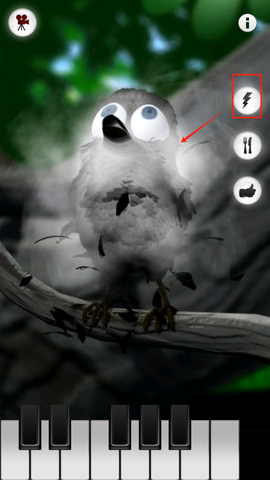 会说话的拉里鸟[图4]