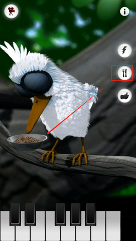 会说话的拉里鸟[图5]