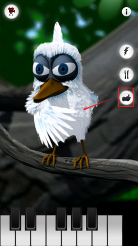 会说话的拉里鸟[图6]