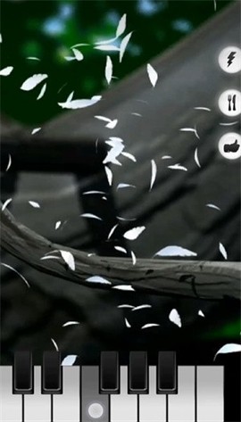 会说话的拉里鸟[图7]