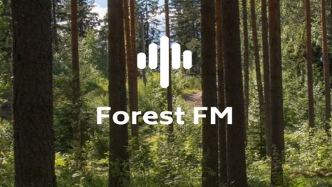 森林白噪音[图1]