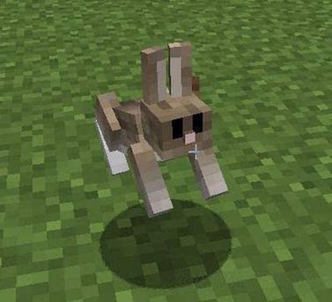 我的世界兔子怎么驯服[图1]