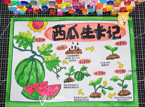 迷你世界怎么种植西瓜[图1]