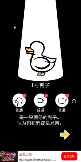 奇怪的鸭子[图1]