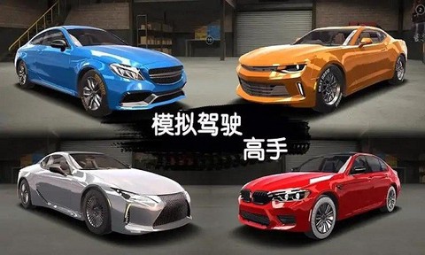 模拟驾驶高手图1