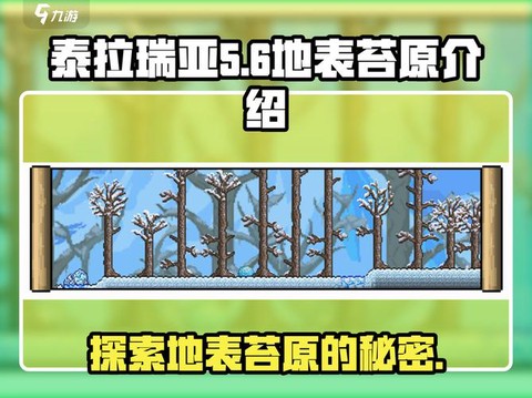 泰拉瑞亚地下苔原在哪[图1]
