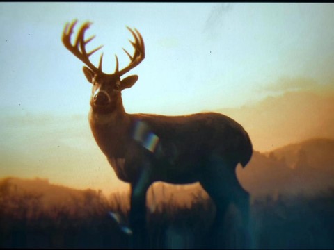 荒野大镖客2如何收镜