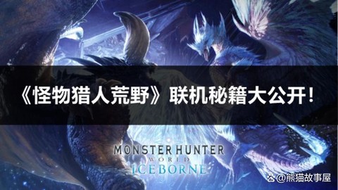 怪物猎人4如何联机[图2]