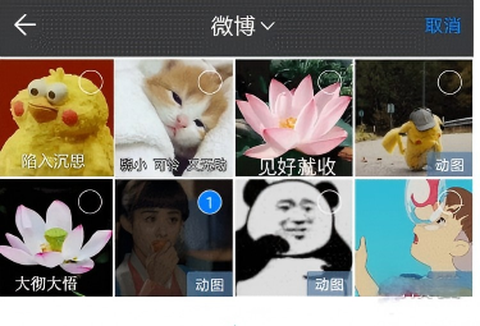 蝙蝠聊天app[图8]