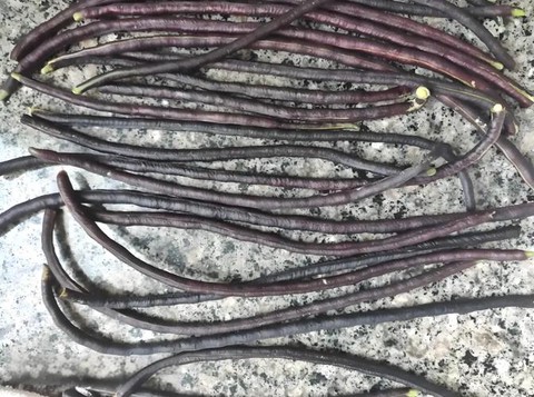 暗黑破坏神豆角是什么[图1]