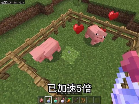 我的世界怎么驯化猪