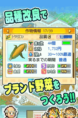 大空公顷农场[图1]