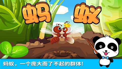 宝宝认蚂蚁图1