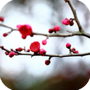 https://static.down8818.com/uploads/20260430/69f2b8627e1b45.03775726.png