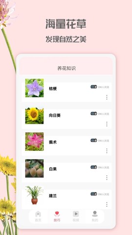 花园管家图3