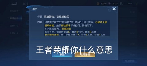 王者荣耀怎么举报别人[图1]