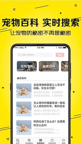 宠物猫狗交流图2