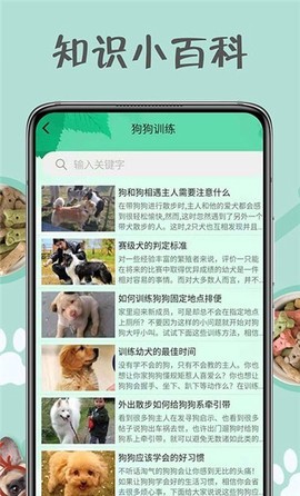 小狗交流器图2