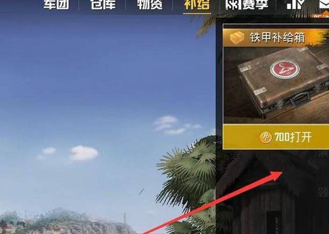 手机上怎么买绝地求生