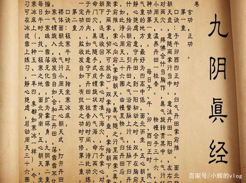 九阴真经历练有什么用