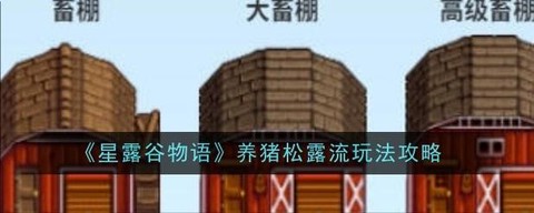 星露谷物语如何养猪[图2]