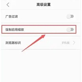 白狐浏览器[图6]