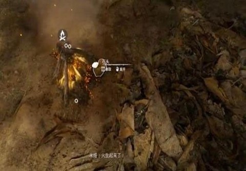 绿色地狱[图12]